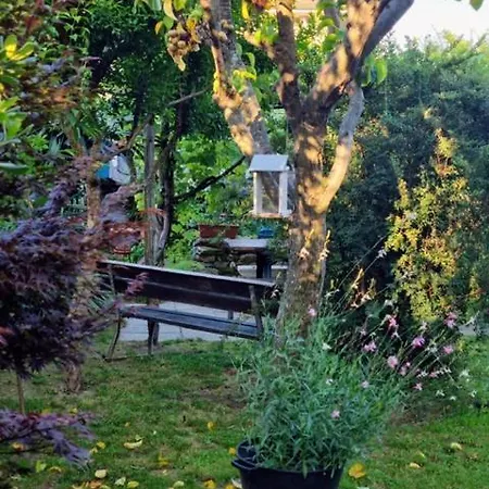 Casa Cambini Marina di Massa