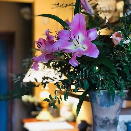 Bed & Breakfast Casa Cambini *