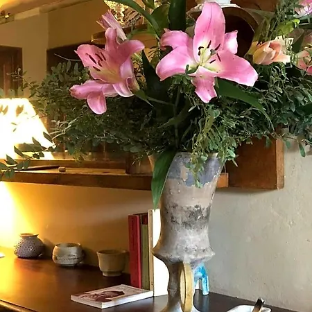 Casa Cambini 住宿加早餐酒店 *
