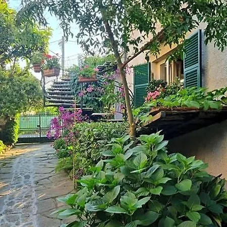 Casa Cambini 马里纳迪马萨
