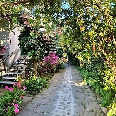 Casa Cambini Marina di Massa